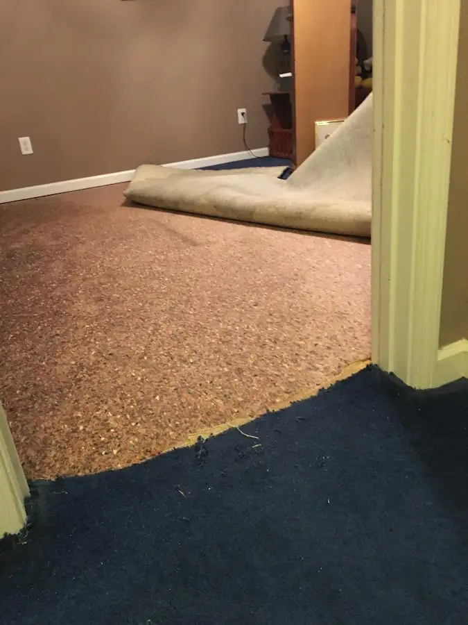 Carpet pad removal revealing water damage during Drying & Dehumidification in Huntington Woods