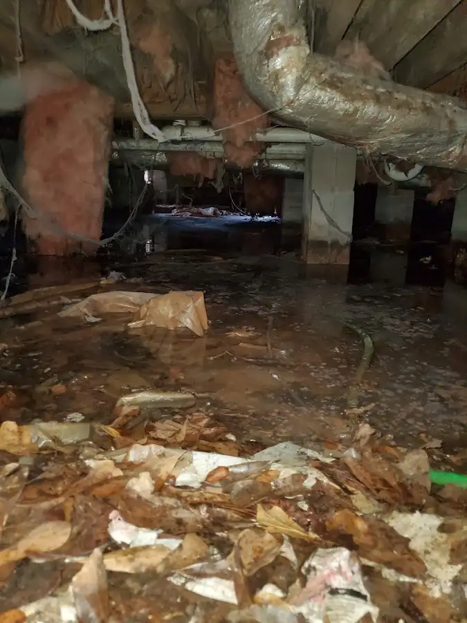 Crawl space flood assessment for Commercial Water Damage Restoration in Huntington Woods