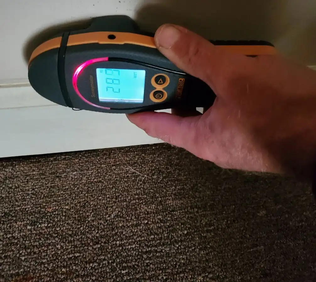 Moisture detection at baseboard during Sewage Cleanup & Sanitation in Huntington Woods